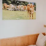 Hoferhof Schladming -Dachstein *