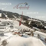 Hoferhof -dachstein 펜션 슈라드밍