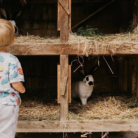 Hoferhof Schladming -Dachstein