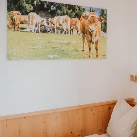 Hoferhof Schladming -Dachstein *