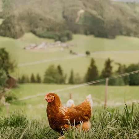 Holiday home Hoferhof Schladming -Dachstein Schladming