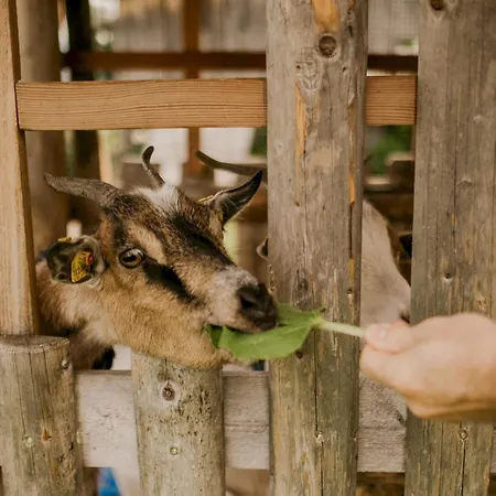 Hoferhof Schladming -Dachstein Holiday home Schladming
