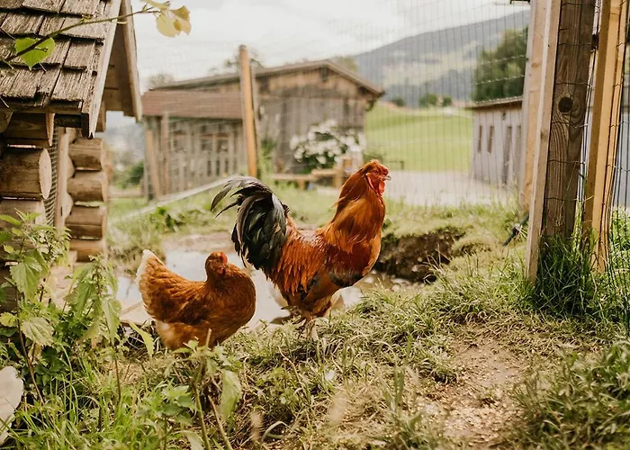 Hoferhof -dachstein *