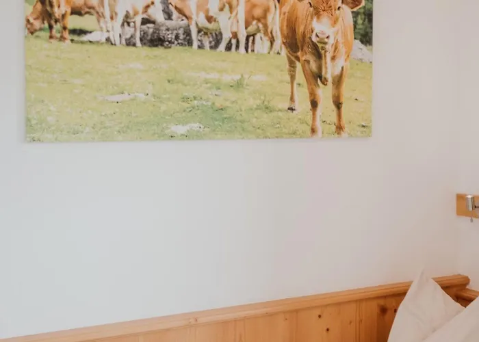 Hoferhof -dachstein *