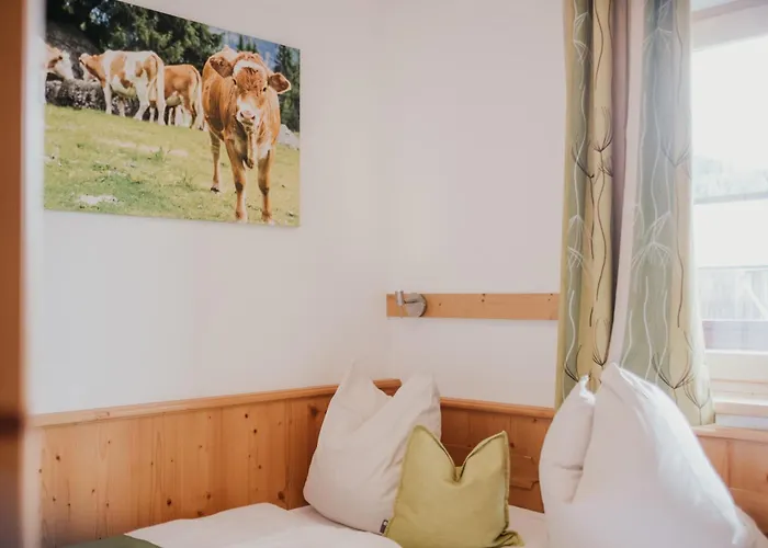 Hoferhof -dachstein Schladming