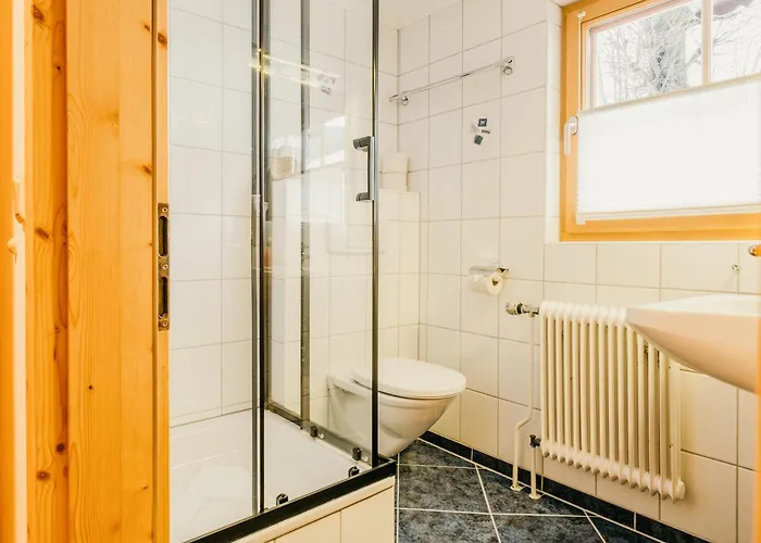 Hoferhof -dachstein Schladming