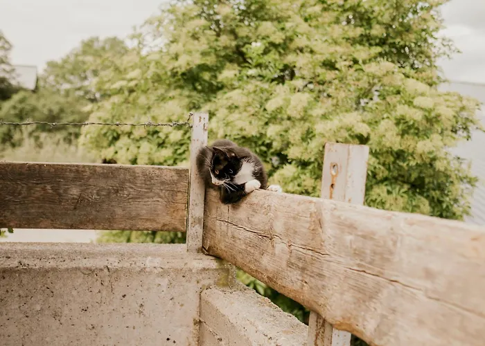 Hoferhof -dachstein Vakantiehuis