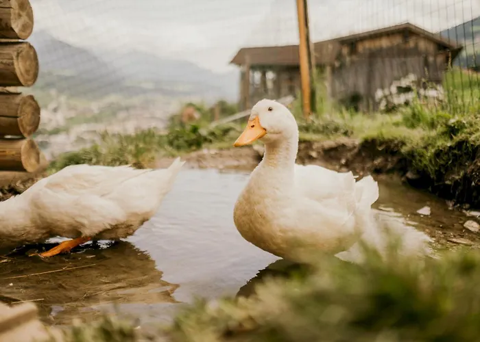 Hoferhof -dachstein Nyaraló *