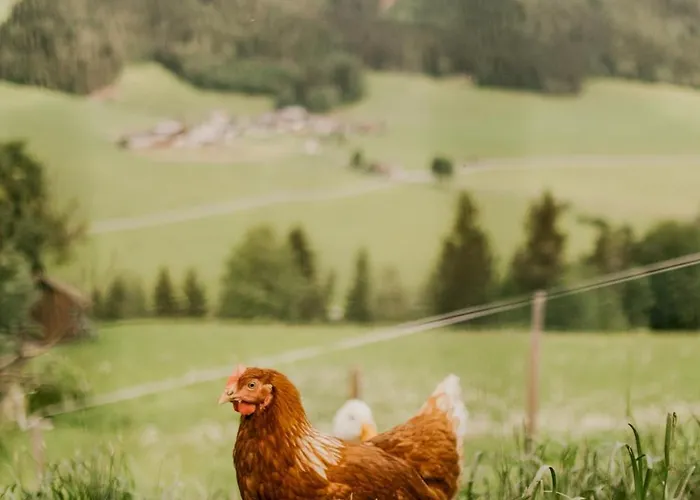 Nyaraló Hoferhof -dachstein Schladming