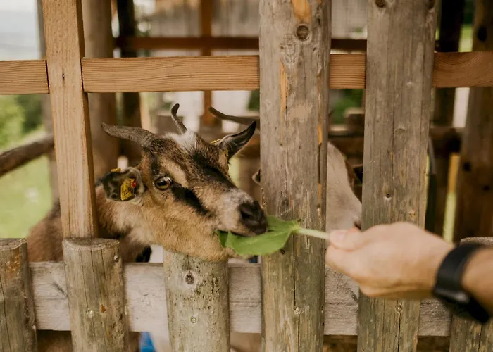 Hoferhof -dachstein Vakantiehuis Schladming